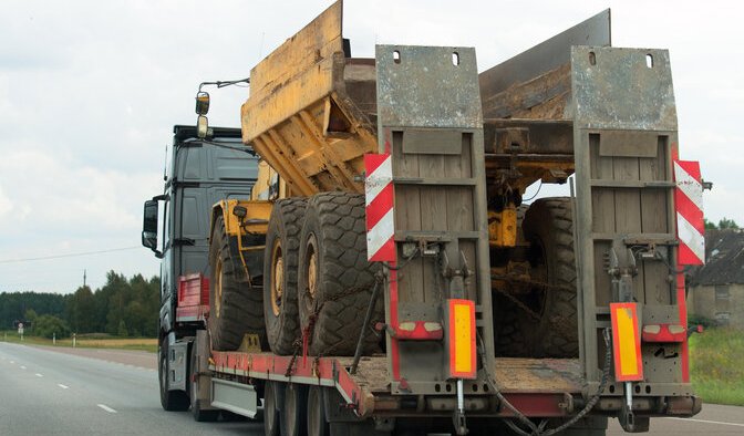 What You Need to Know for a Successful Plant Relocation